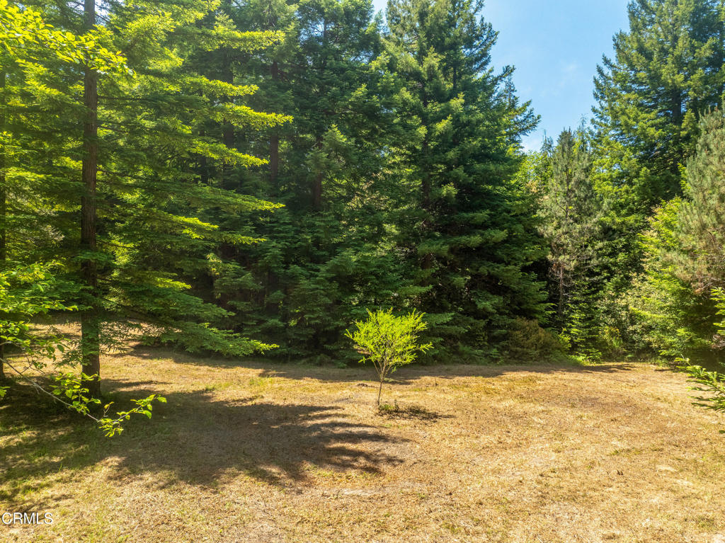 15620 Shane Drive Property Photo 14