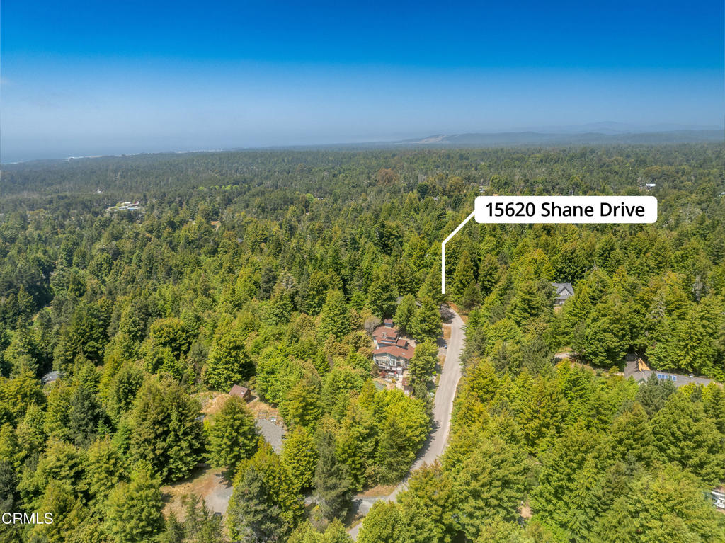15620 Shane Drive Property Photo 19