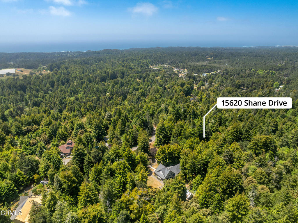 15620 Shane Drive Property Photo 20