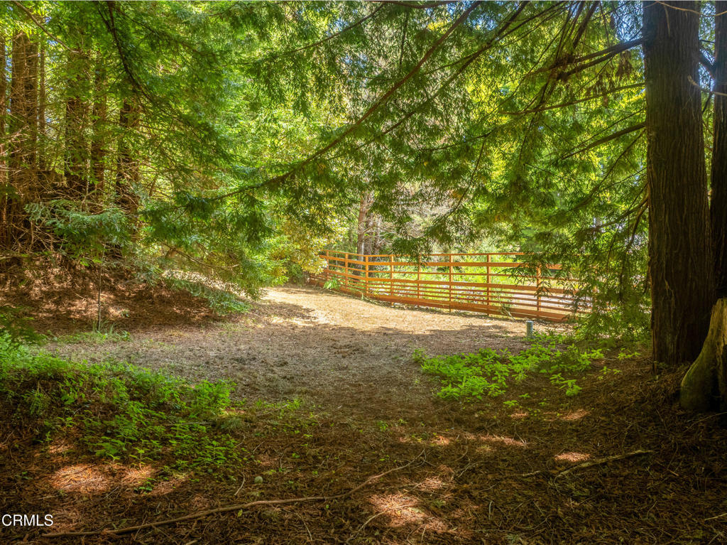 15620 Shane Drive Property Photo 21