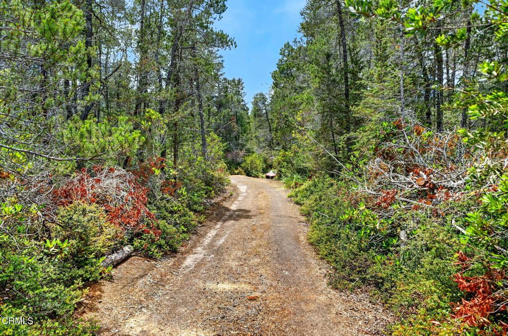 27421 Albion Ridge Road Property Photo 31
