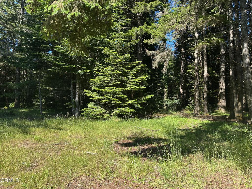 2901 Albion Ridge B Road Property Photo 5
