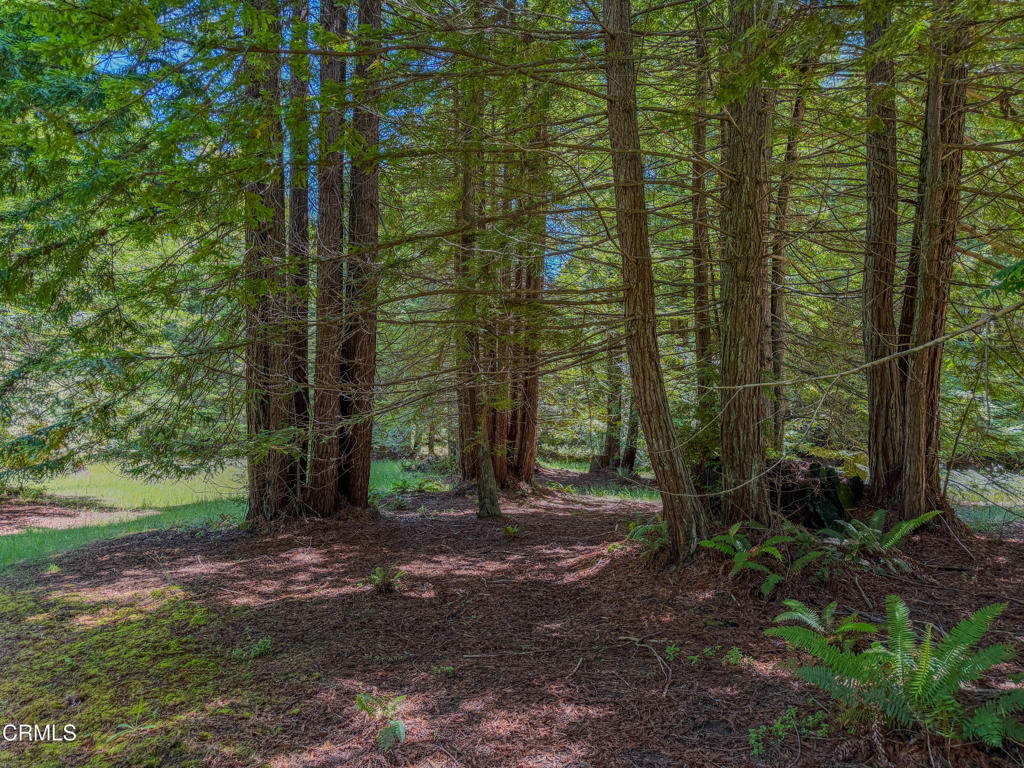 32700 Nameless Lane Property Photo 13