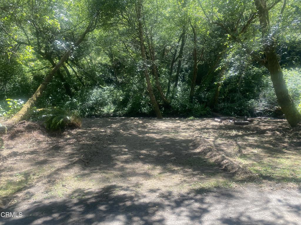 23780 De Haven Creek Road Property Photo 6