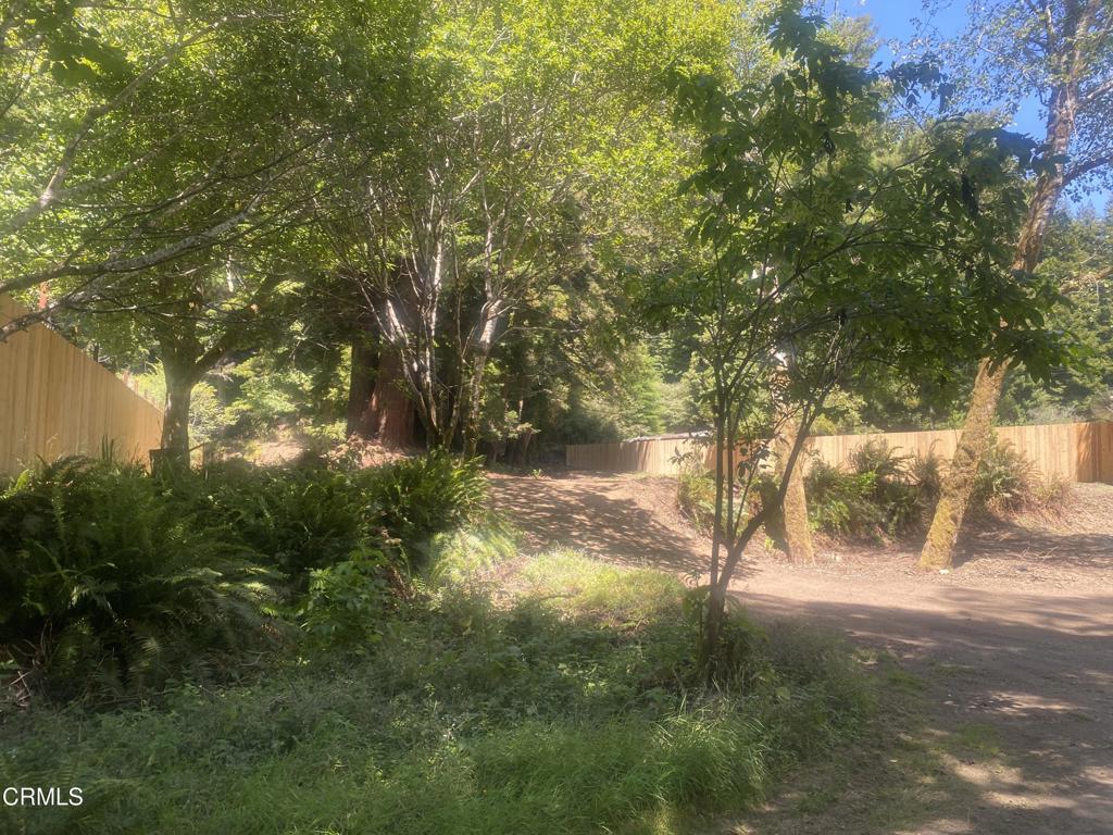 23780 De Haven Creek Road Property Photo 7