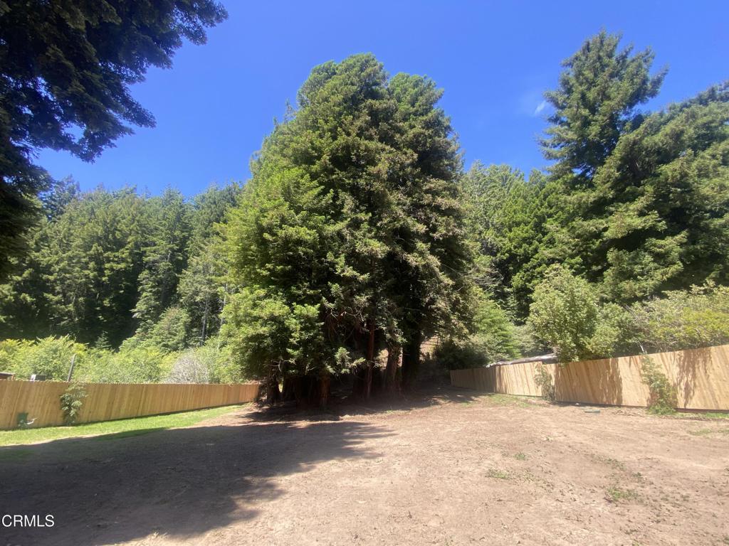 23780 De Haven Creek Road Property Photo 8