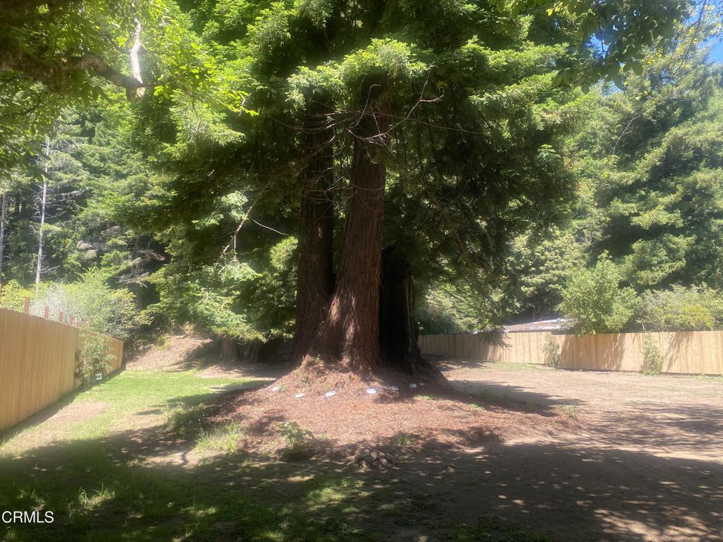 23780 De Haven Creek Road Property Photo 9