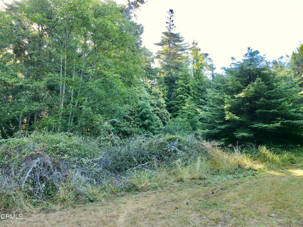 19130 Dorffi Road Property Photo 2