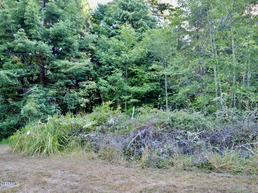 19130 Dorffi Road Property Photo 3