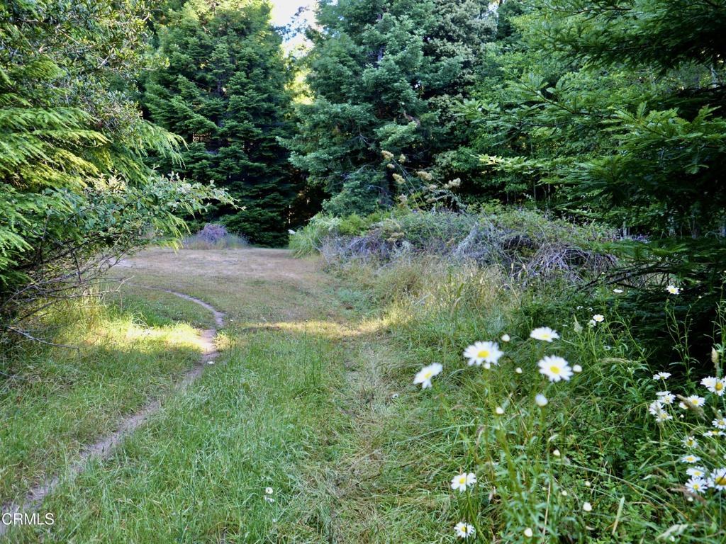 19130 Dorffi Road Property Photo 5