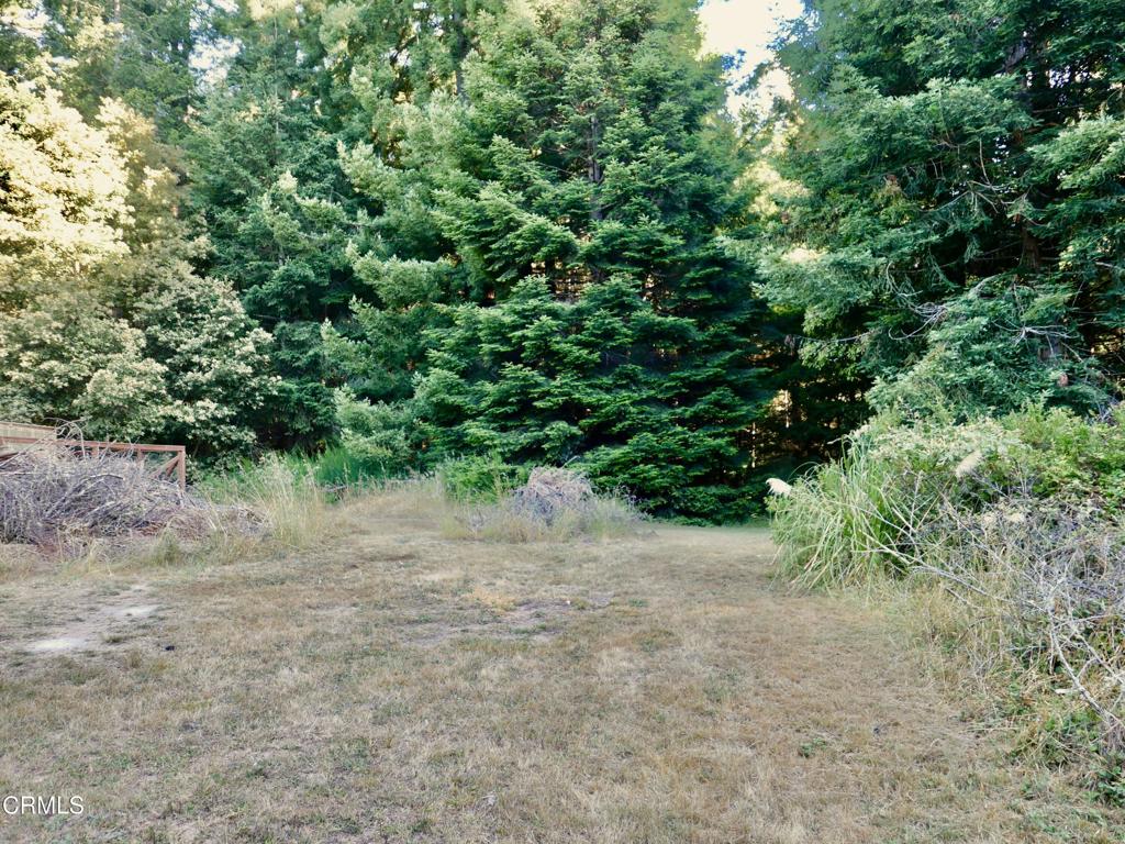 19130 Dorffi Road Property Photo 6