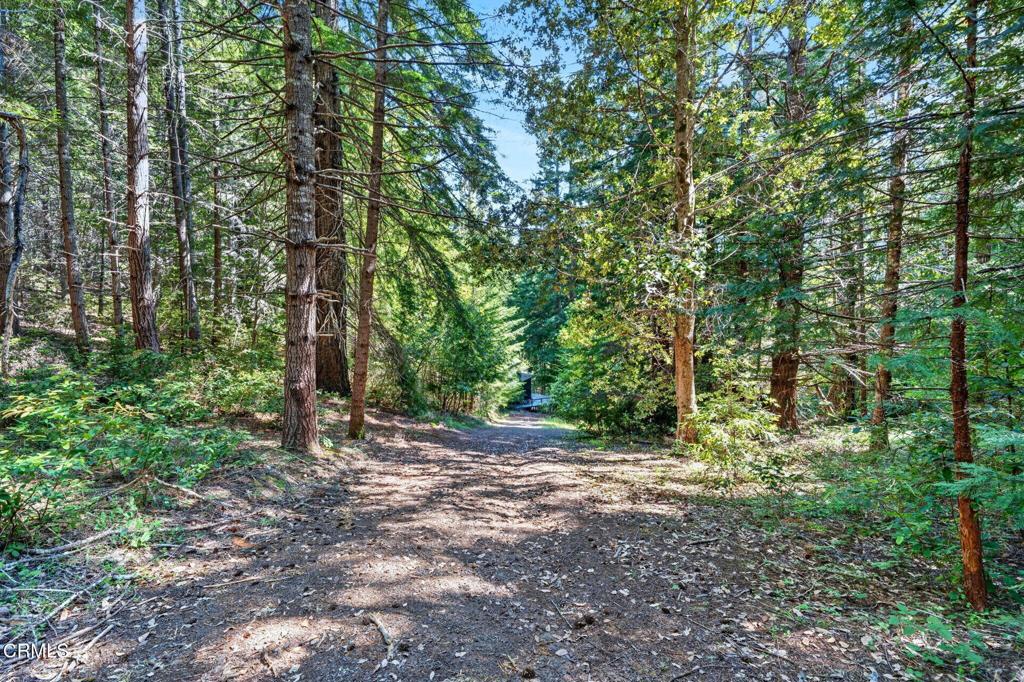30901 Philo Greenwood Road Property Photo 26