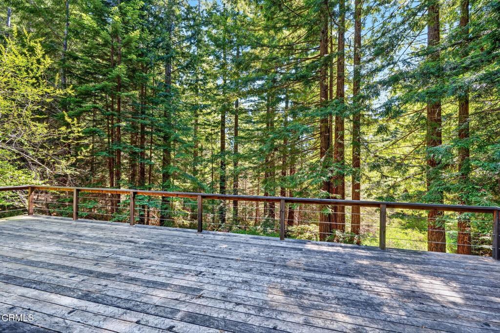 30901 Philo Greenwood Road Property Photo 35