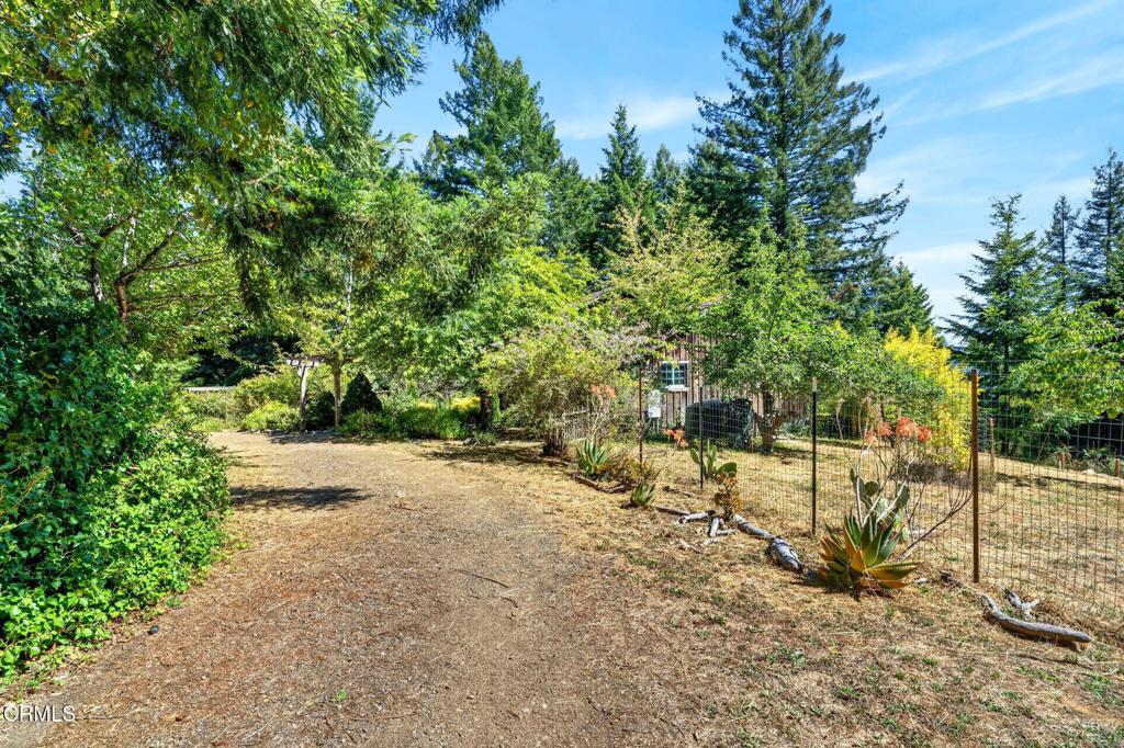 30901 Philo Greenwood Road Property Photo 39