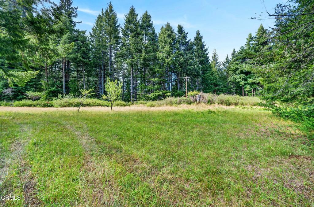 30901 Philo Greenwood Road Property Photo 40