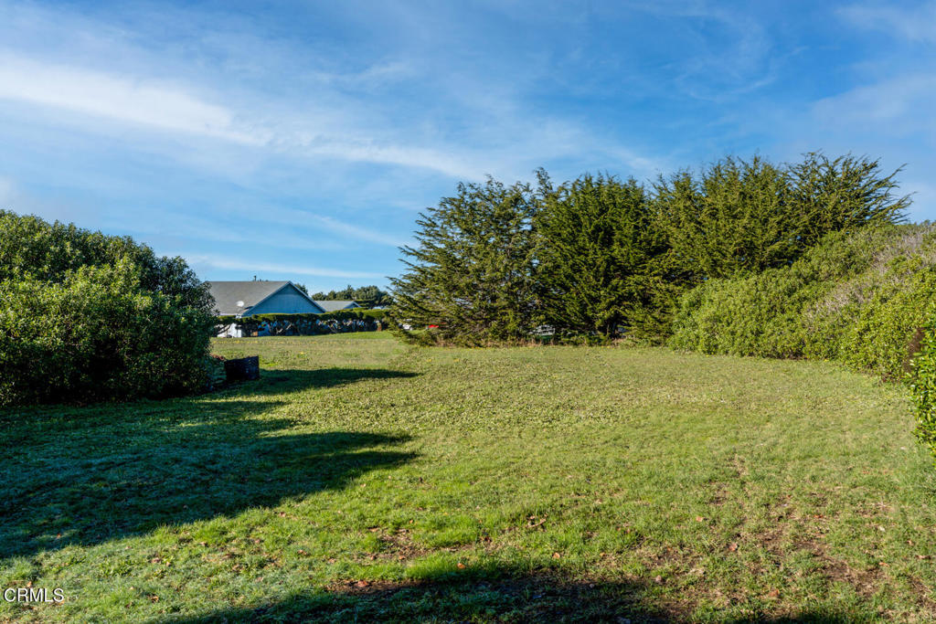 32591 Ocean Meadows Circle Property Photo 39