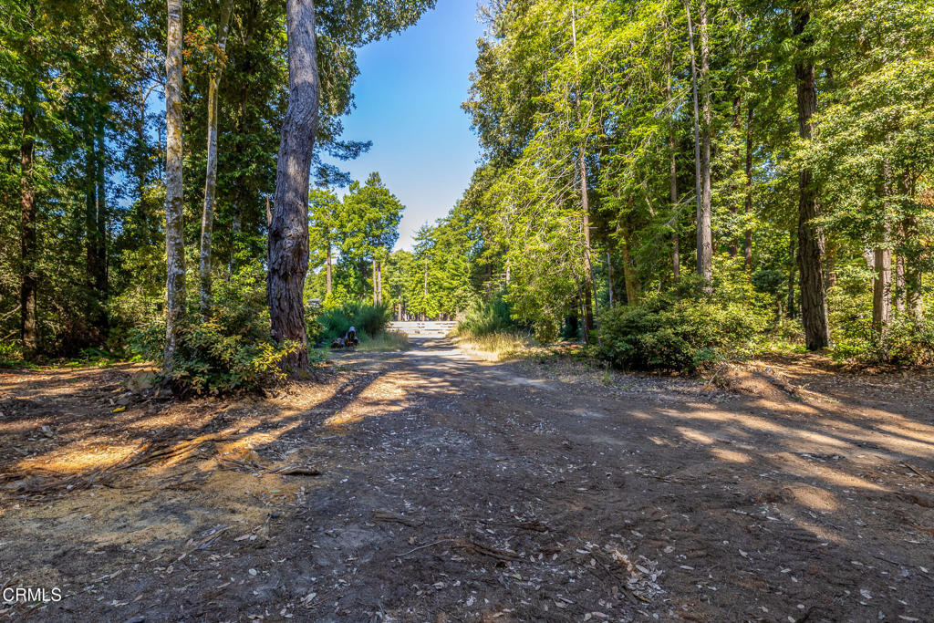 32401 Creekside Lane Property Photo 16