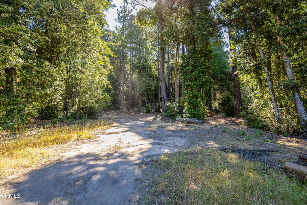 32401 Creekside Lane Property Photo 18