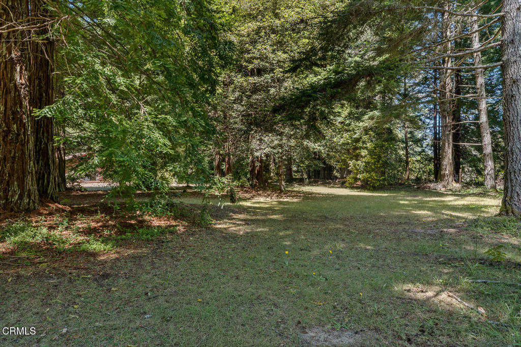 44660 Caspar Orchard Road Property Photo 31