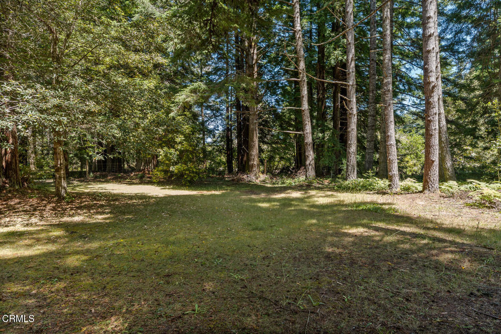 44660 Caspar Orchard Road Property Photo 32
