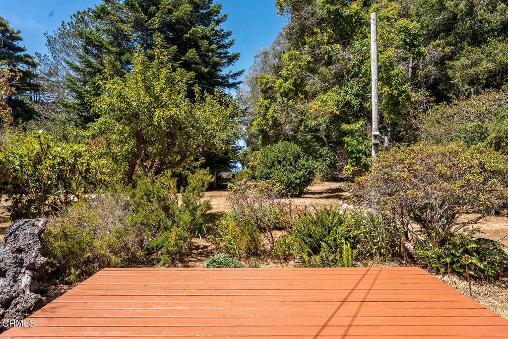 44660 Caspar Orchard Road Property Photo 37