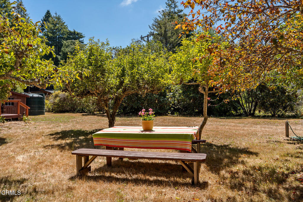 44660 Caspar Orchard Road Property Photo 39