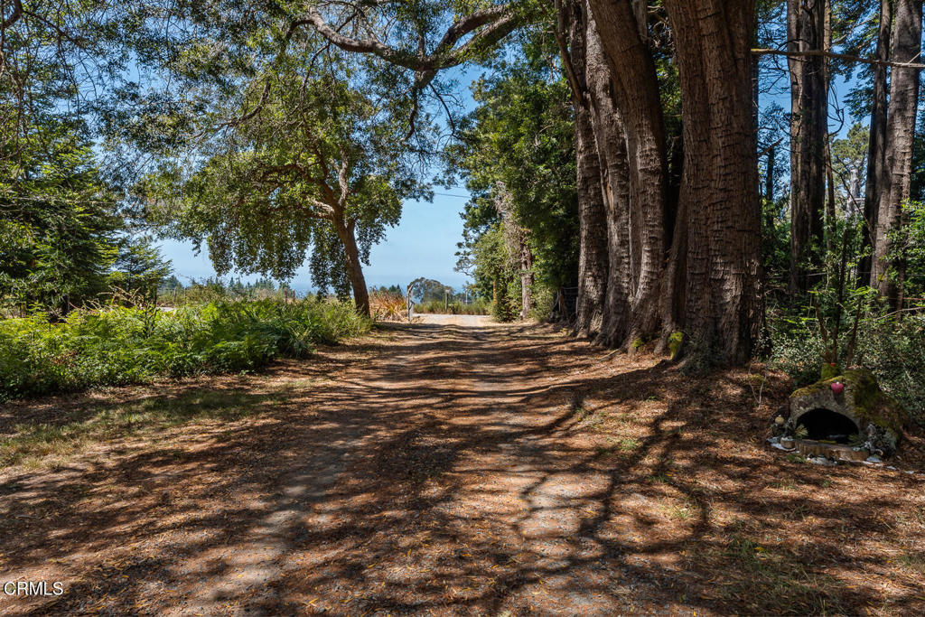 44660 Caspar Orchard Road Property Photo 41
