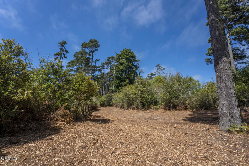 17898 Georges Lane Property Photo 1