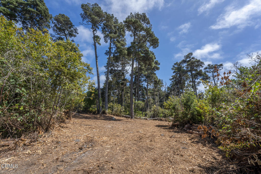 17898 Georges Lane Property Photo 2