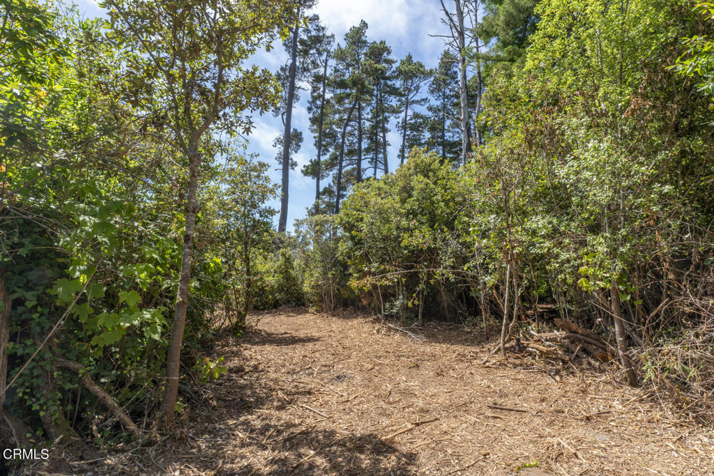 17898 Georges Lane Property Photo 3