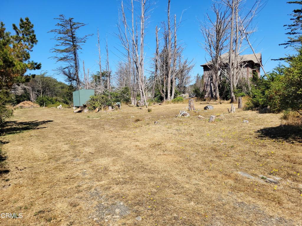 19800 Highway 1 Property Photo 3