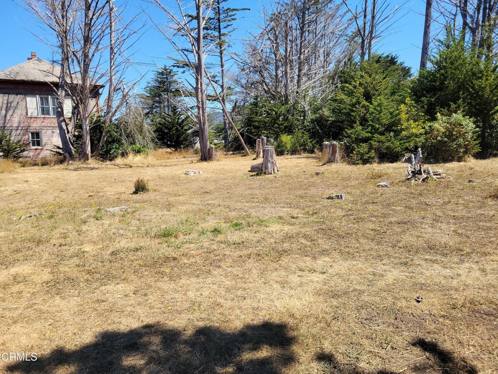 19800 Highway 1 Property Photo 4