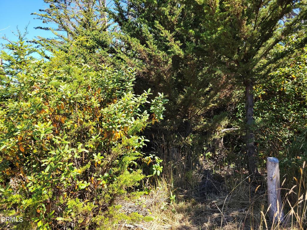 19800 Highway 1 Property Photo 13