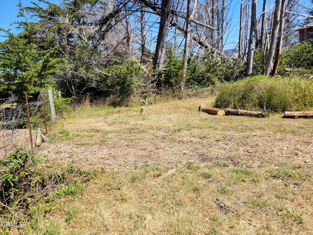 19800 Highway 1 Property Photo 15