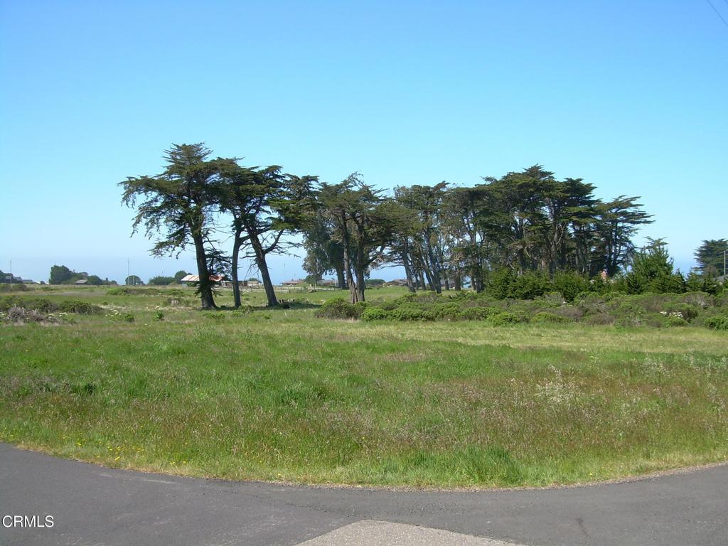 43575 Sea Cypress Drive Property Photo 9