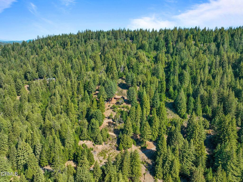 19200 Tramway Property Photo 37