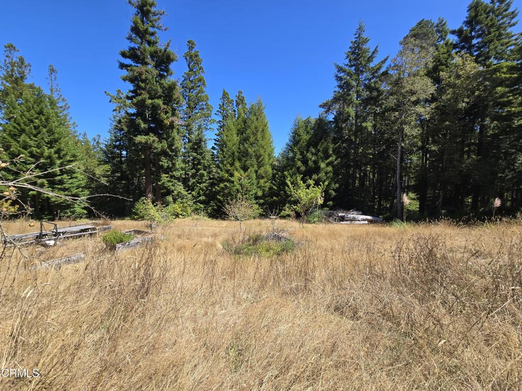 40741 Garcia River Road Property Photo 1