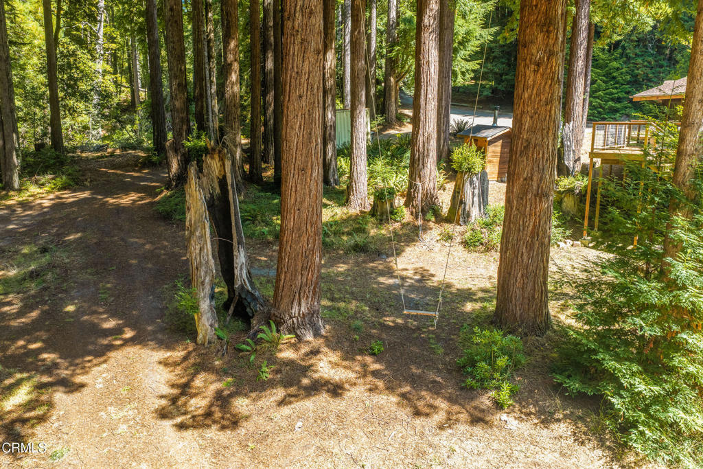 31703 Pearl Drive Property Photo 48