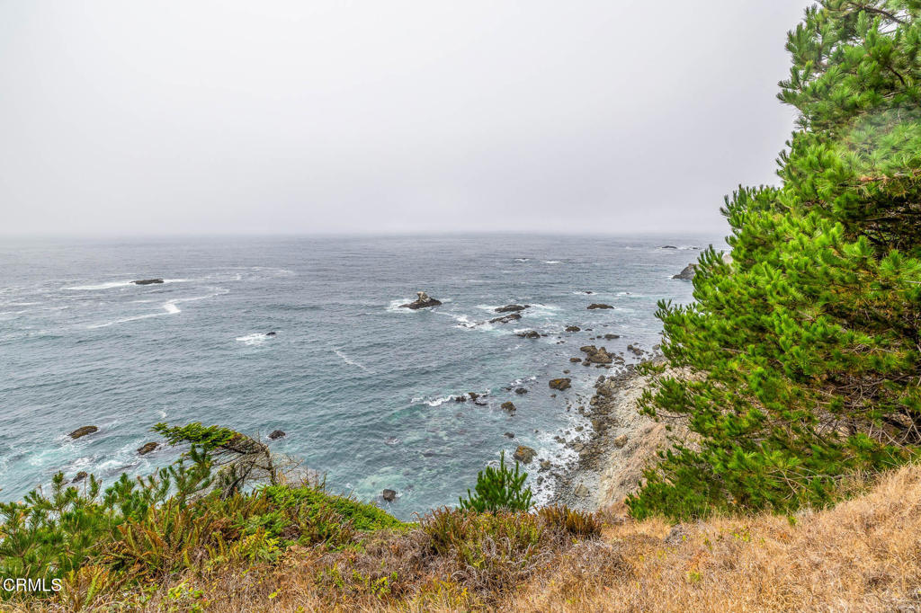 2250 Highway 1 Property Photo 3