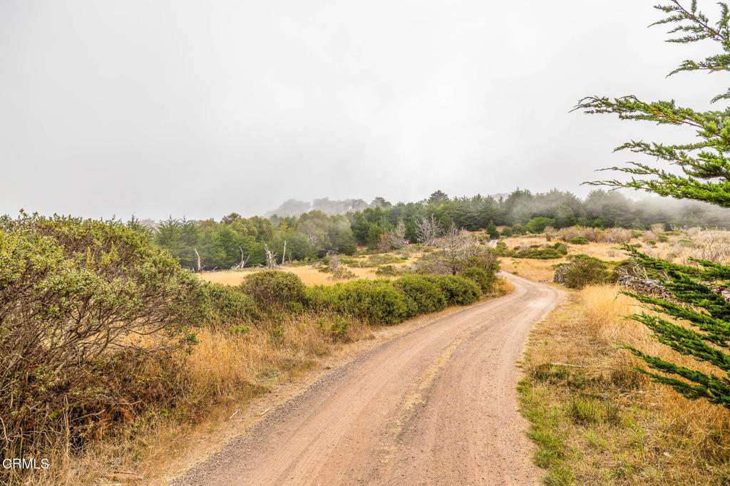 2250 Highway 1 Property Photo 6