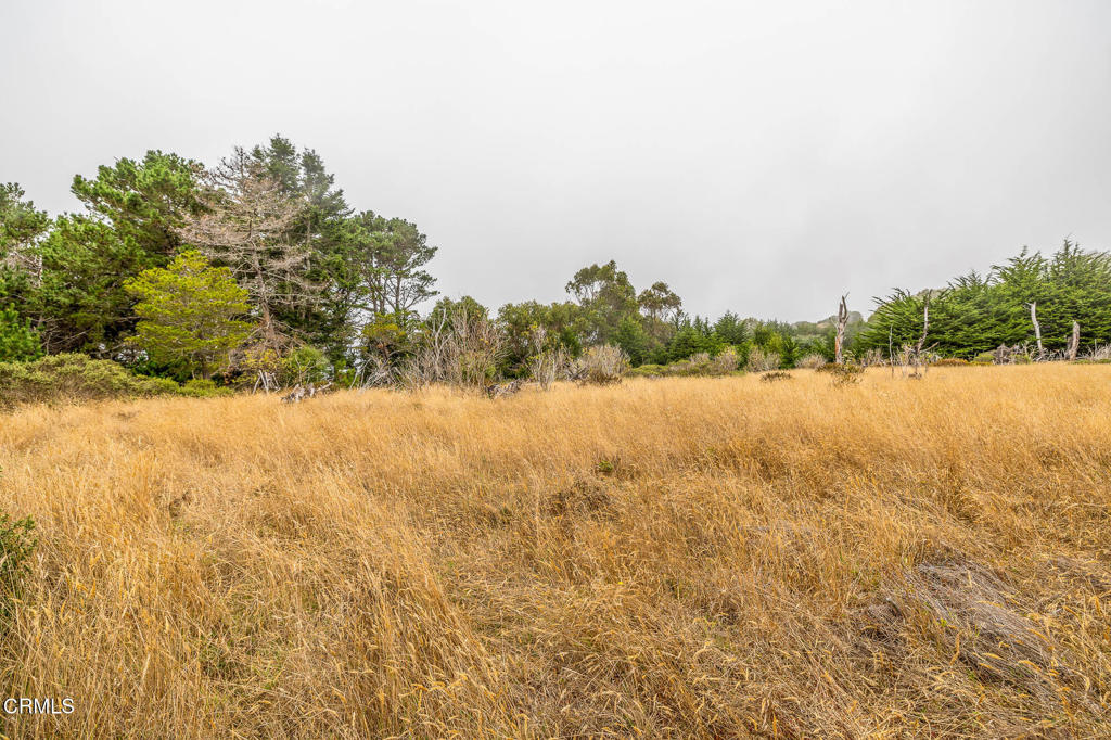 2250 Highway 1 Property Photo 7