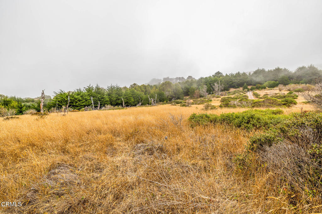 2250 Highway 1 Property Photo 8