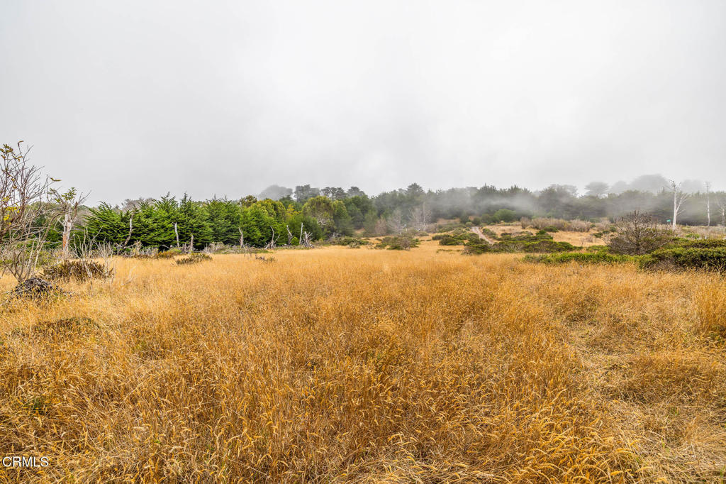 2250 Highway 1 Property Photo 9