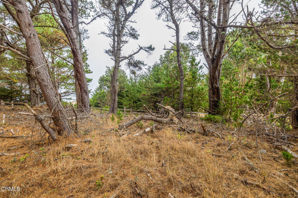 2250 Highway 1 Property Photo 10
