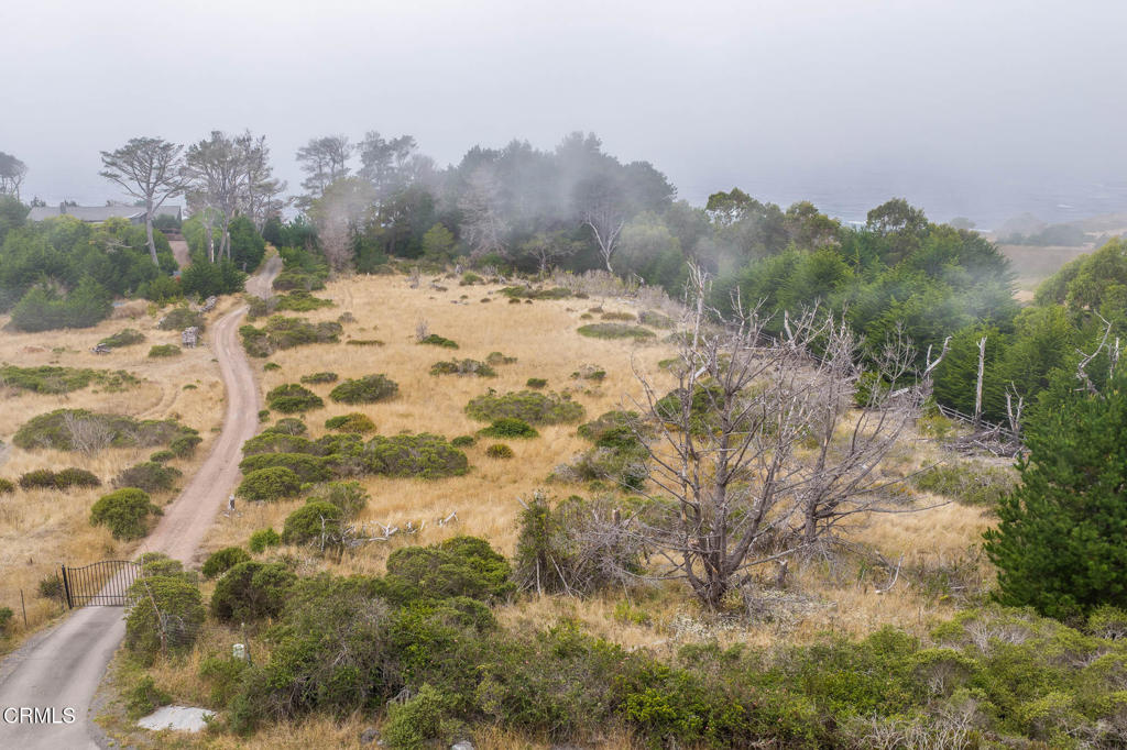 2250 Highway 1 Property Photo 14