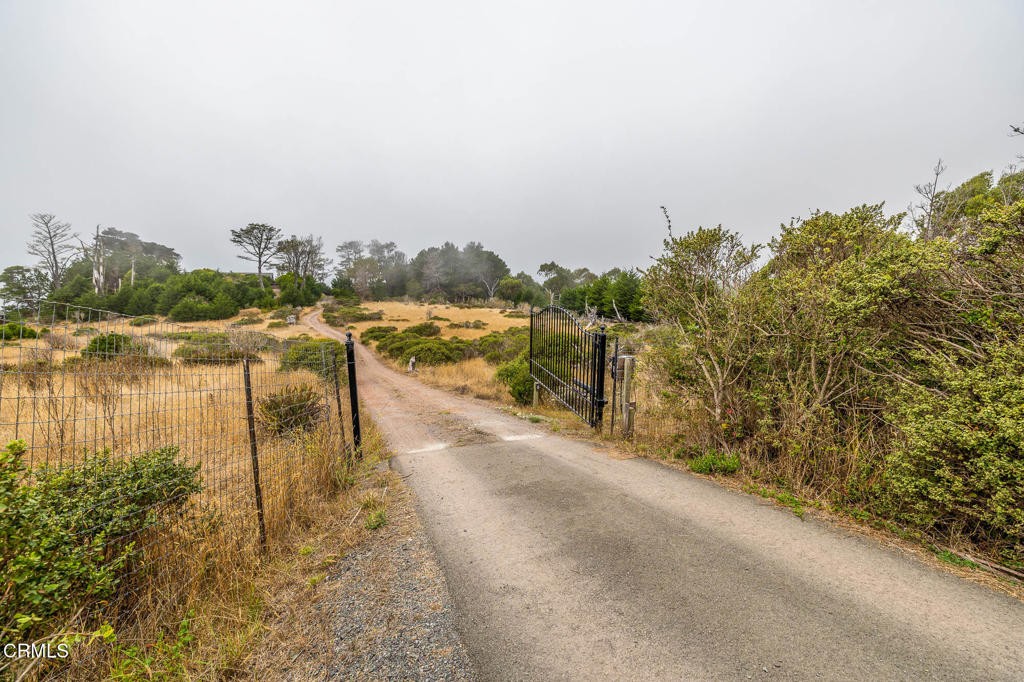 2250 Highway 1 Property Photo 16
