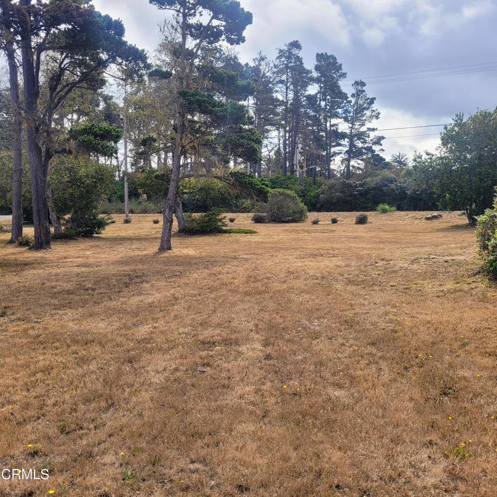 23650 North Highway 1 Property Photo 2