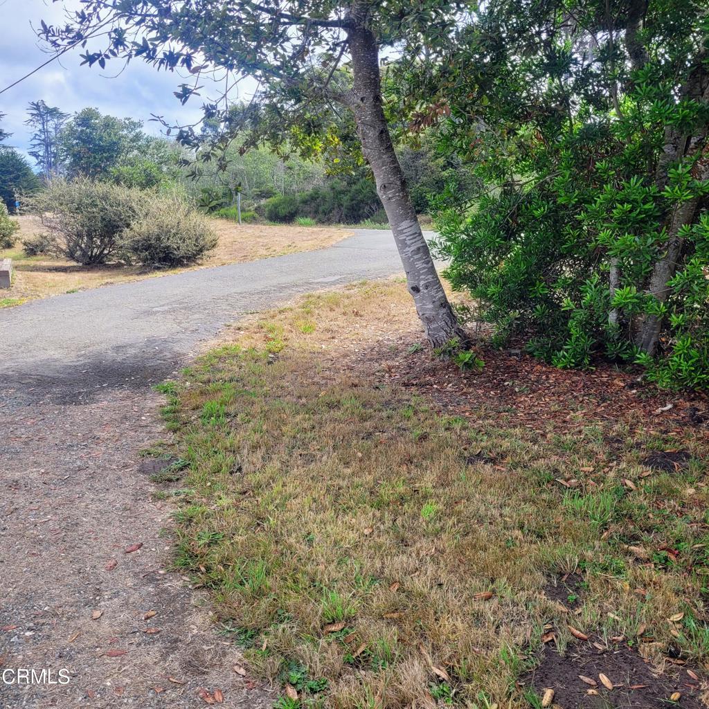 23650 North Highway 1 Property Photo 22