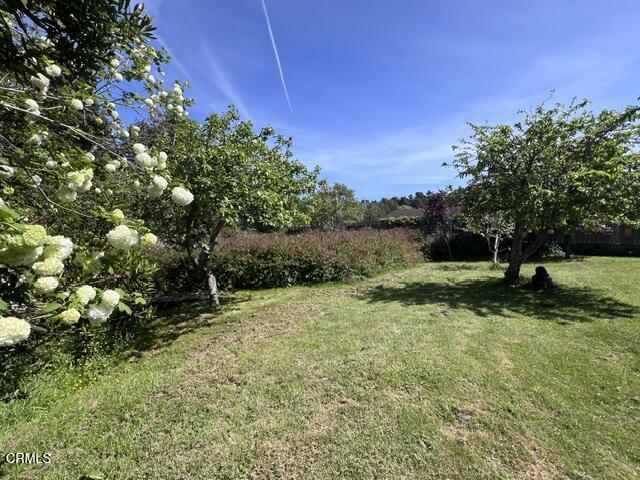 17801 N Highway 1 Property Photo 49