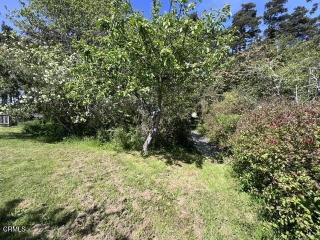 17801 N Highway 1 Property Photo 50